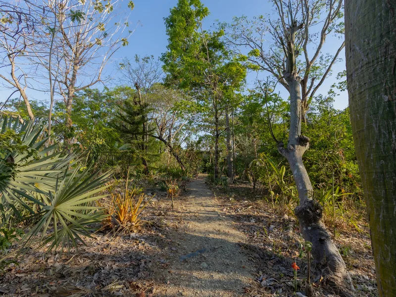 Land For Sale in Santiago, photo 12