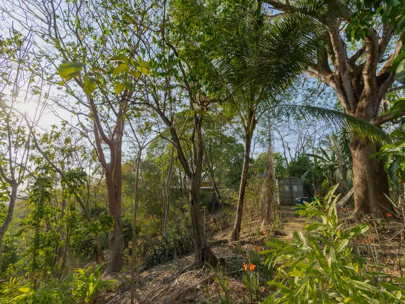 Land For Sale in Santiago, photo 13