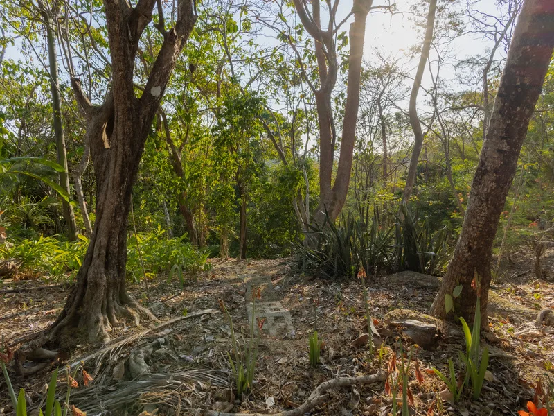 Land For Sale in Santiago, photo 14