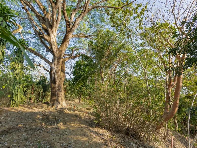 Land For Sale in Santiago, photo 15