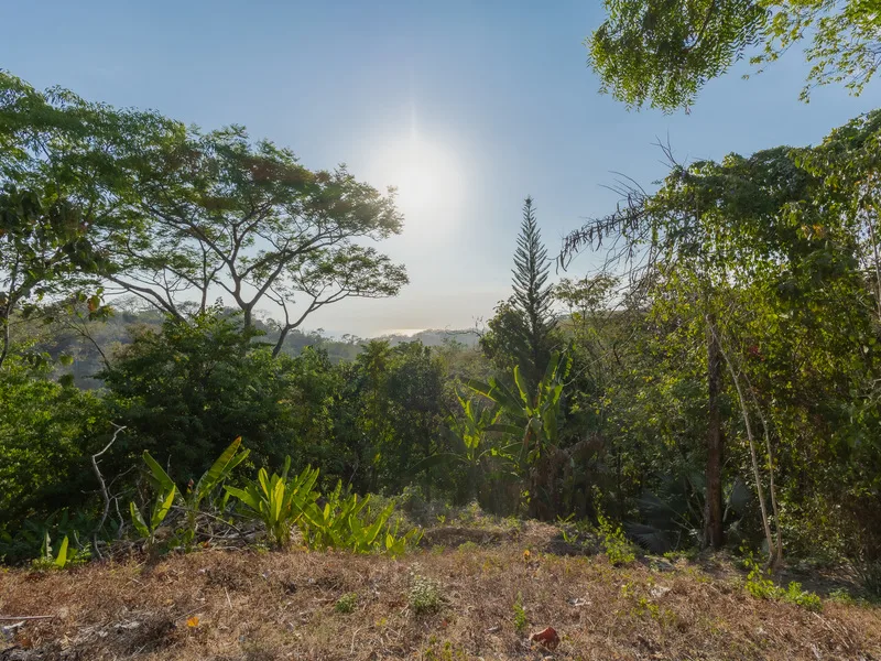 Land For Sale in Santiago, photo 8