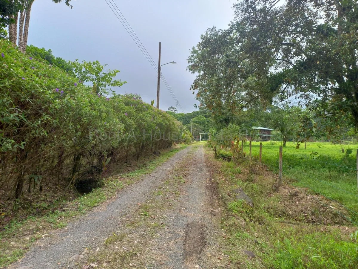 Venta de quinta con casa rodeada de naturaleza y privacidad en Guápiles #26-2259 GS - Venta en Pococí