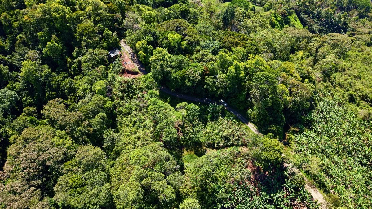 SE VENDE TERRENO CON CLIMA FRESCO Y PRIVACIDAD EN GUADALUPE DE RIVAS - Venta en Pérez Zeledón, photo 2