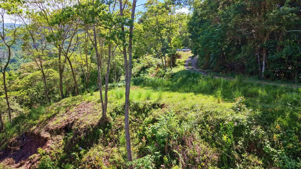 SE VENDE TERRENO CON CLIMA FRESCO Y PRIVACIDAD EN GUADALUPE DE RIVAS - Venta en Pérez Zeledón, photo 4