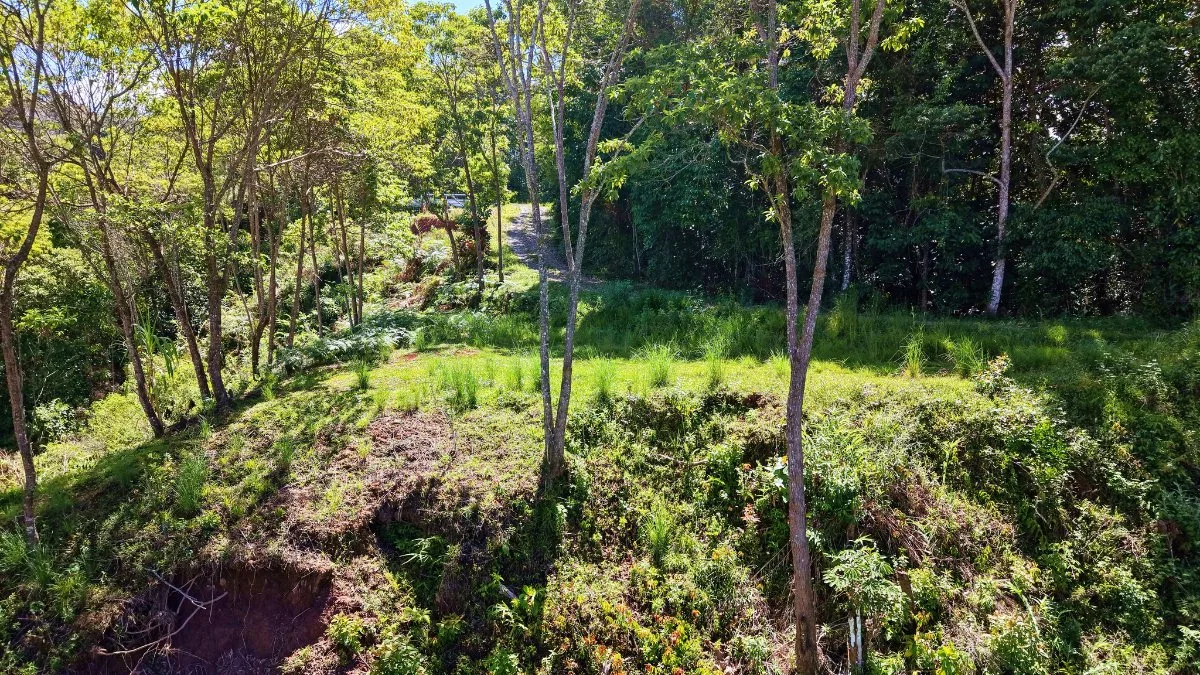 SE VENDE TERRENO CON CLIMA FRESCO Y PRIVACIDAD EN GUADALUPE DE RIVAS - Venta en Pérez Zeledón, photo 6