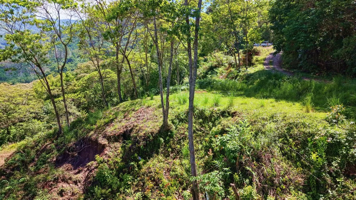 SE VENDE TERRENO CON CLIMA FRESCO Y PRIVACIDAD EN GUADALUPE DE RIVAS - Venta en Pérez Zeledón, photo 9