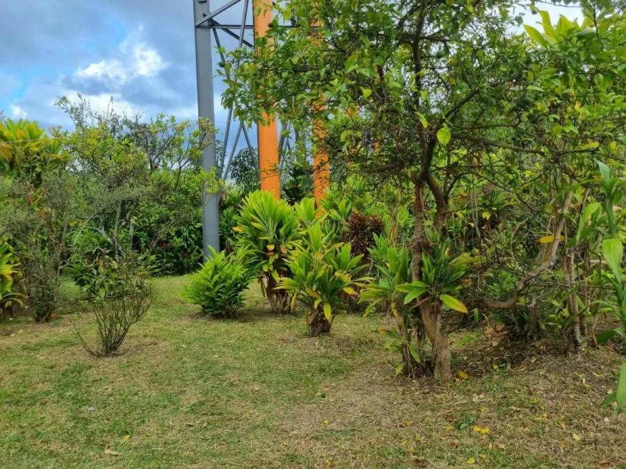 Venta lote en Zapote, San José. RAH 25-1670 NR - Venta en Zapote, photo 10