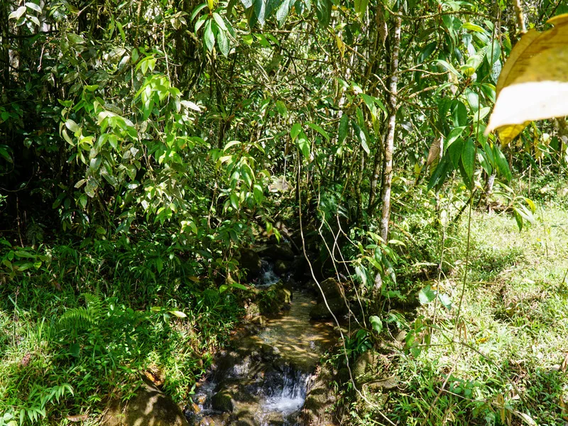 1 Bed Land For Sale in Perez Zeledon, photo 11