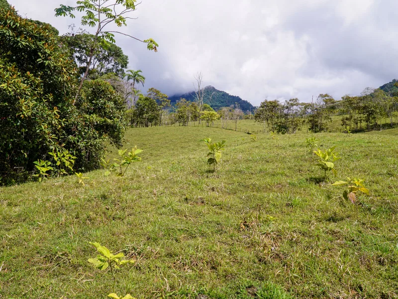 1 Bed Land For Sale in Perez Zeledon, photo 12