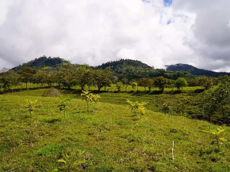 1 Bed Land For Sale in Perez Zeledon, photo 14