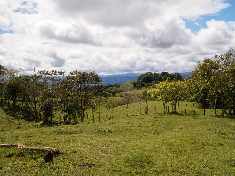 1 Bed Land For Sale in Perez Zeledon, photo 15