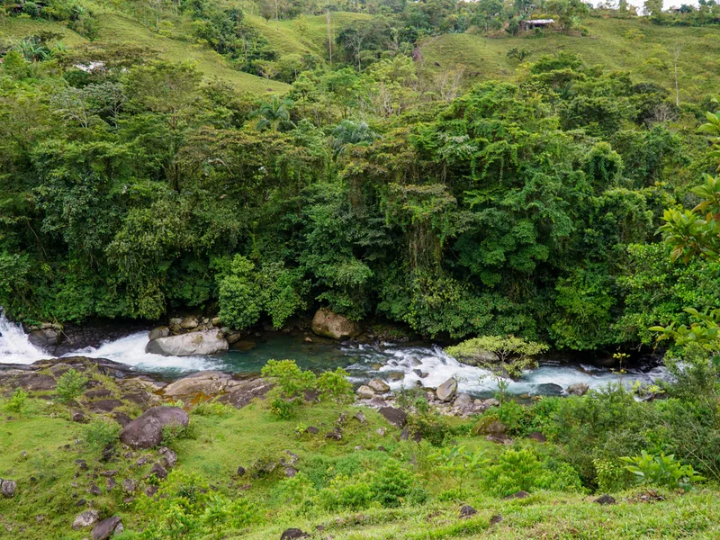 1 Bed Land For Sale in Perez Zeledon, photo 9