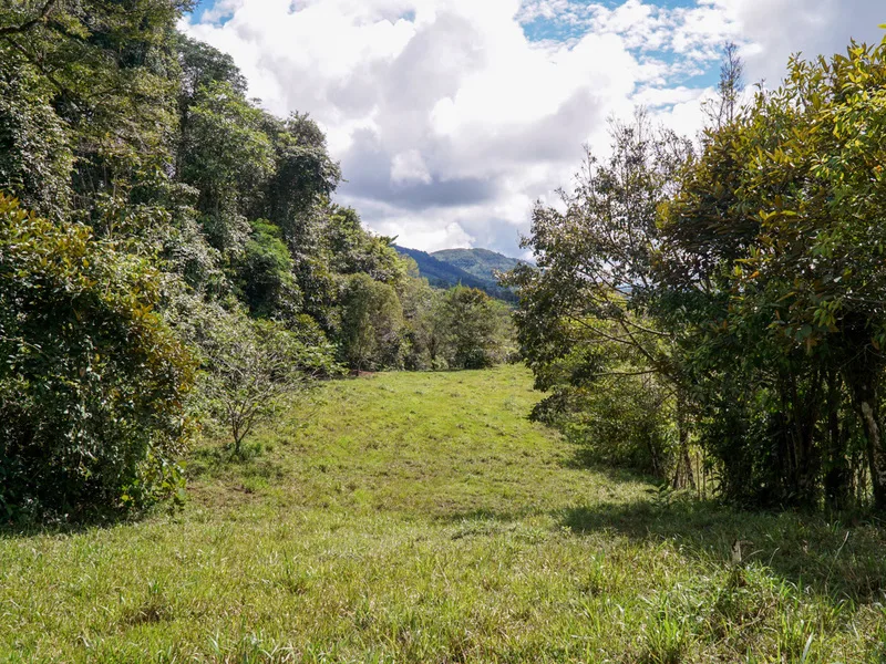 1 Bed Land For Sale in Perez Zeledon, photo 10