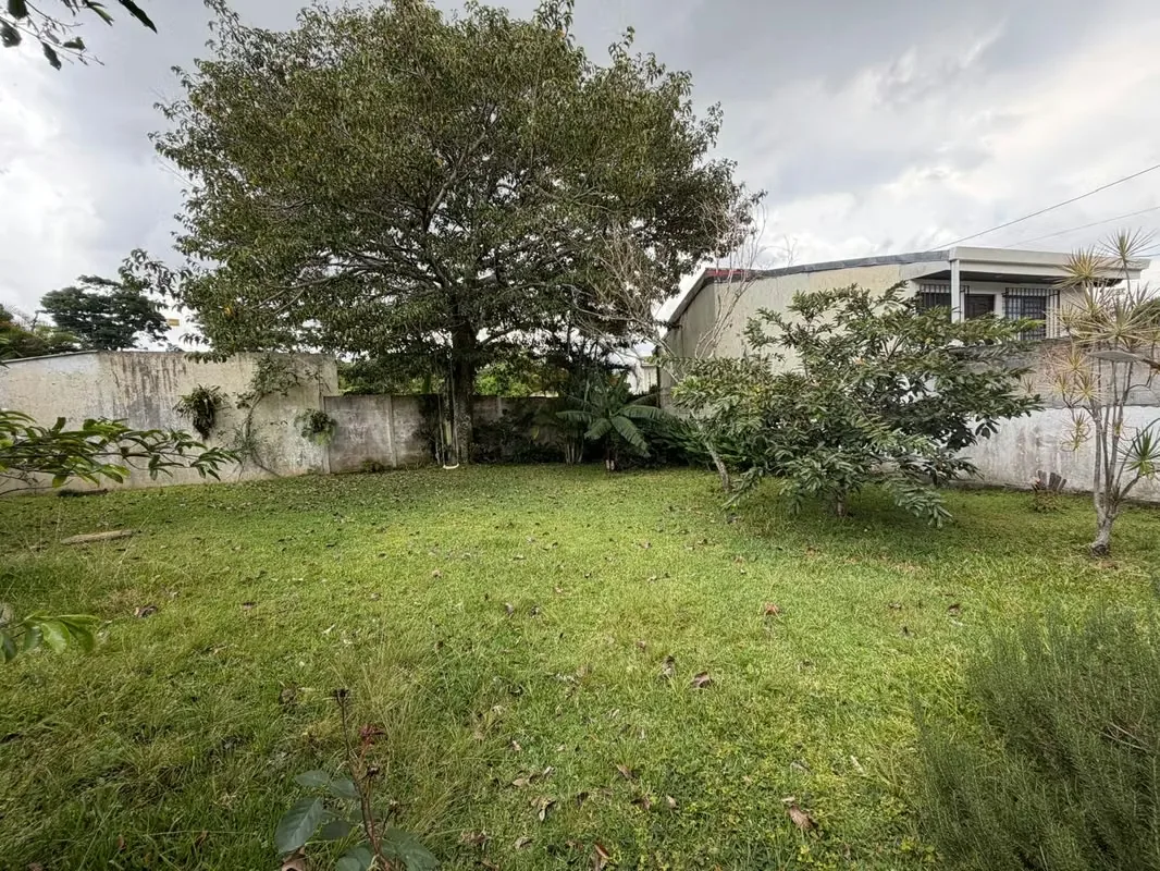 Casa en Alquiler en San Pedro con Uso de Suelo Mixto – Amplio Parqueo, photo 2
