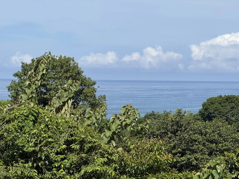 Land For Sale in Uvita, photo 2