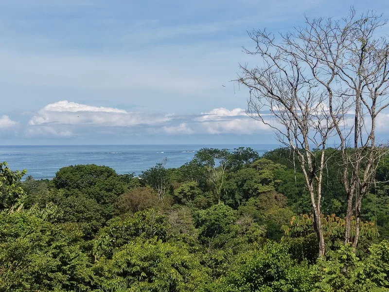 Land For Sale in Uvita, photo 11