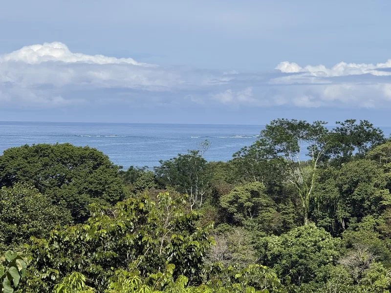 Land For Sale in Uvita, photo 12