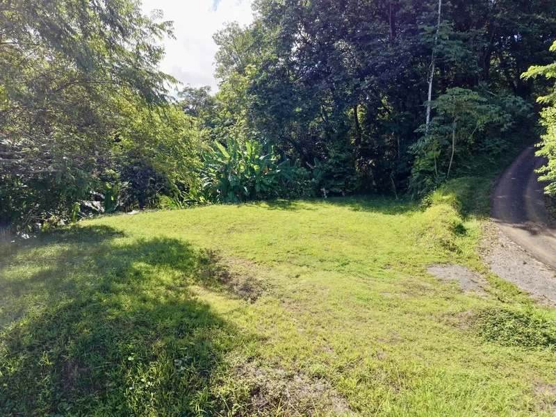 Land For Sale in Uvita, photo 6