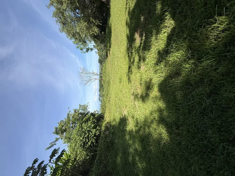 Land For Sale in Uvita, photo 7