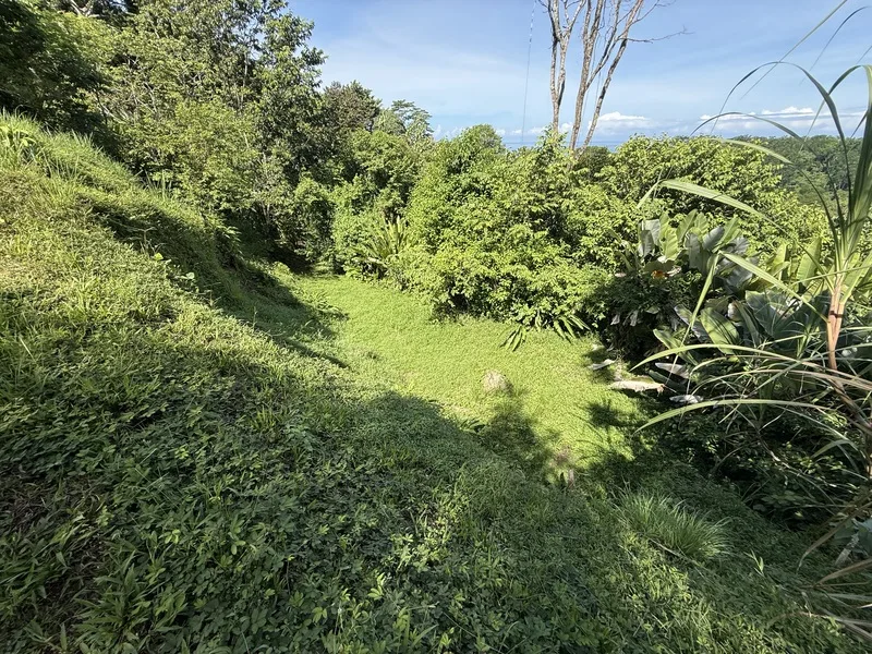 Land For Sale in Uvita, photo 9