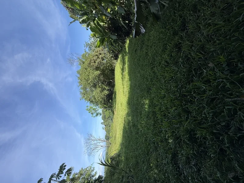 Land For Sale in Uvita, photo 10