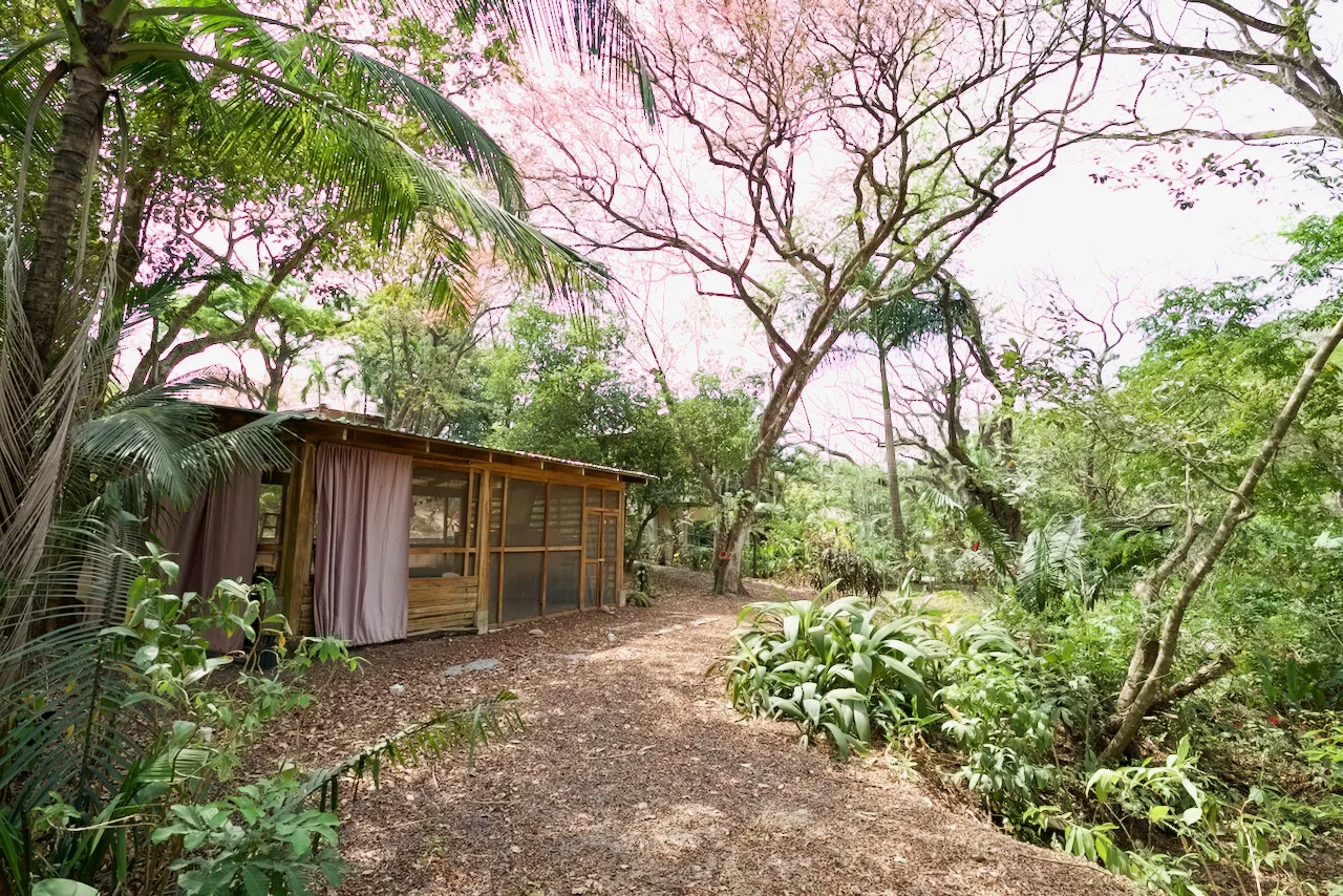 Private Jungle Building Lot in Esperanza