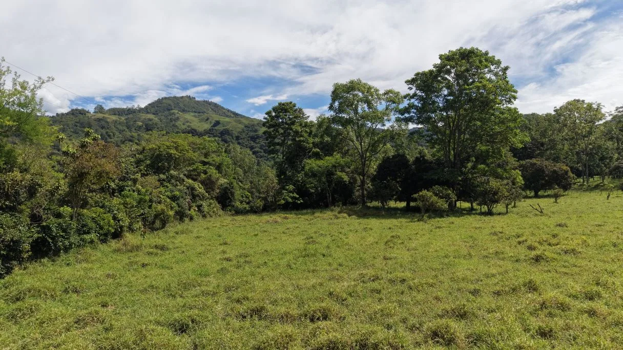 Land for Sale in San Francisco de Rivas: 16-Acre Parcel with Private Creek H6