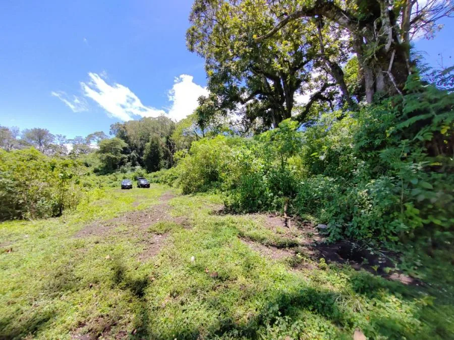 Venta de Lote en San Rafael, Montes de Oca. - Venta en Montes de Oca, photo 13