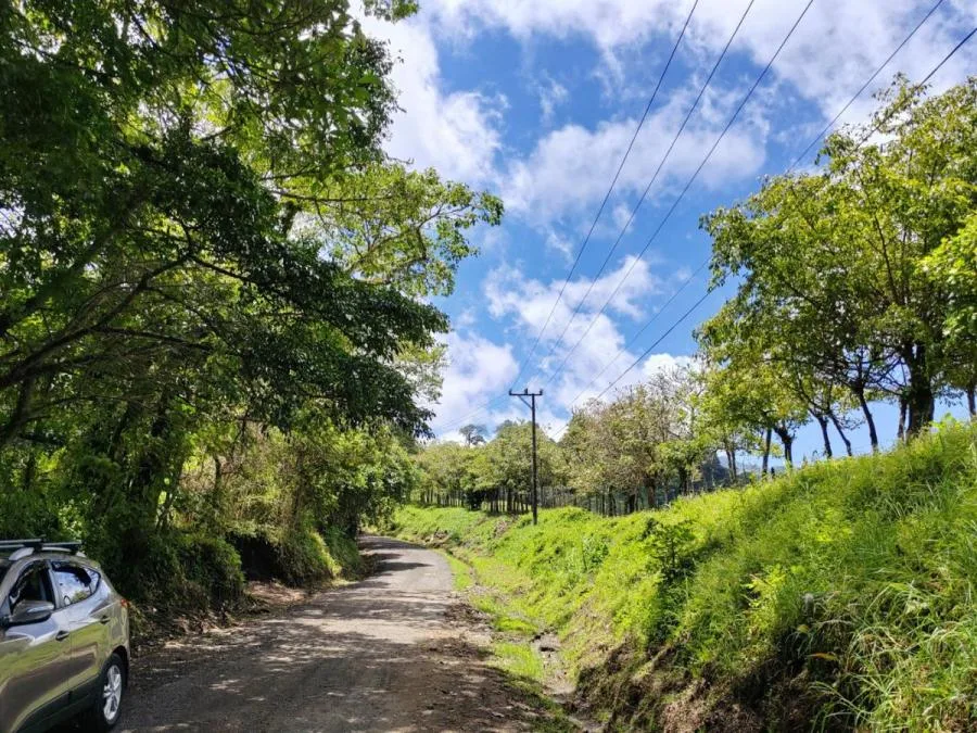 Venta de Lote en San Rafael, Montes de Oca. - Venta en Montes de Oca, photo 15