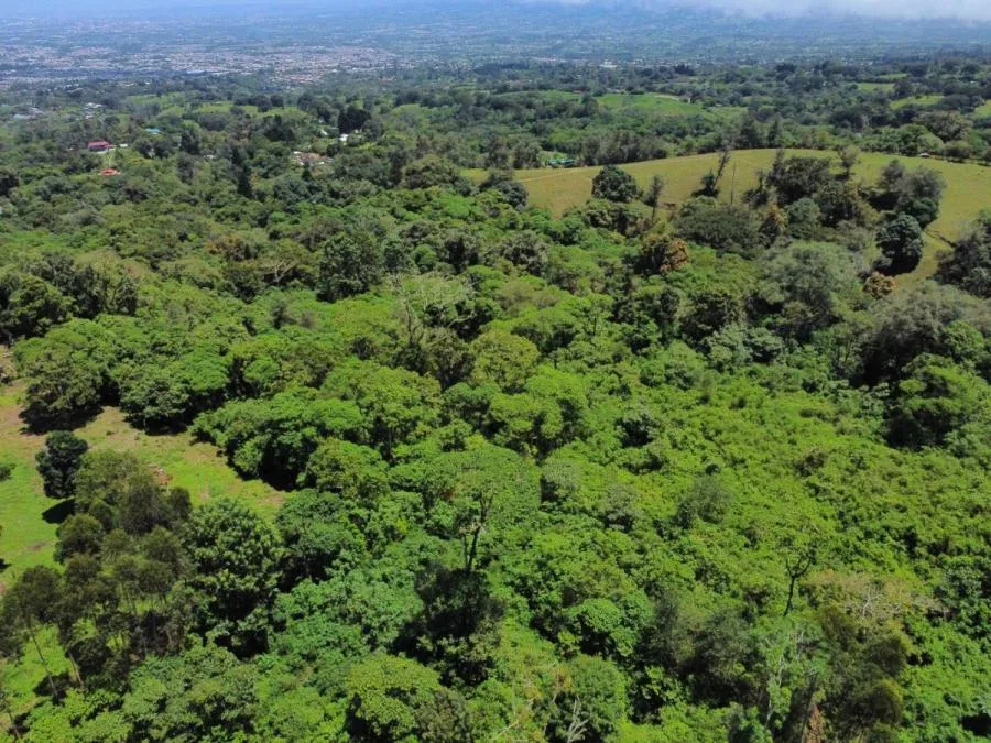 Venta de Lote en San Rafael, Montes de Oca. - Venta en Montes de Oca, photo 10