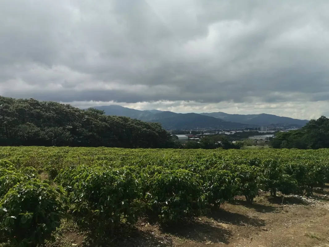 MA Asesorías vende Finca de 6 Hectáreas, con Uso de Suelo Mixto e Industrial, en San Pablo de Heredia.