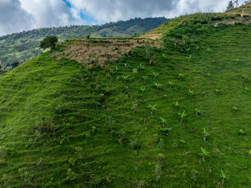 Land For Sale in Perez Zeledon, photo 11
