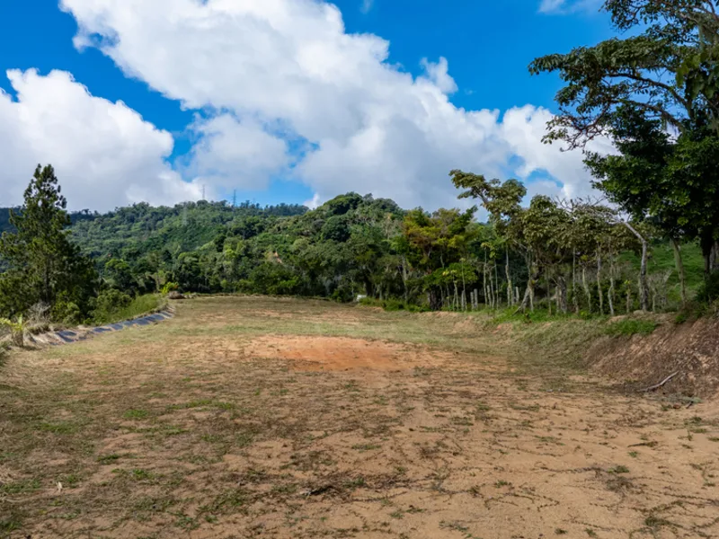 Land For Sale in Perez Zeledon, photo 13