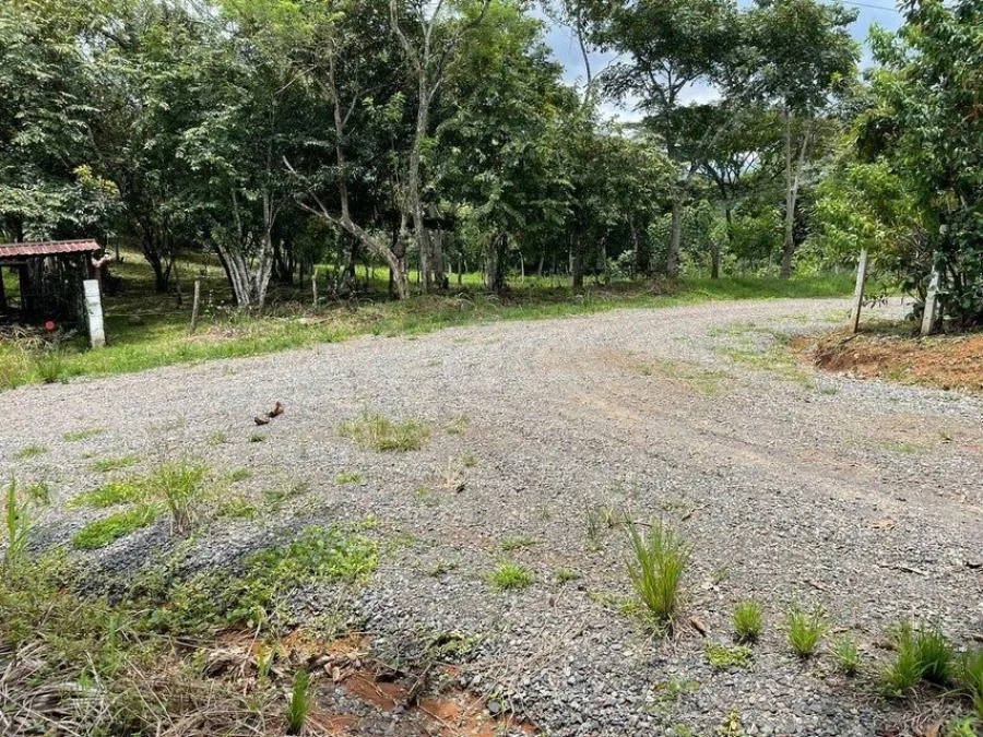 Lote de 5.000 m2 100% planos ubicados en centro de Coronado RAH 231989 - Venta en Vasquez de Coronado, photo 14