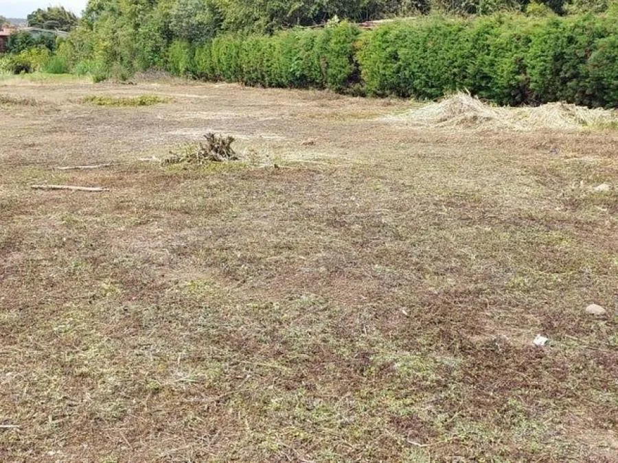 Lote de 5.000 m2 100% planos ubicados en centro de Coronado RAH 231989 - Venta en Vasquez de Coronado, photo 7