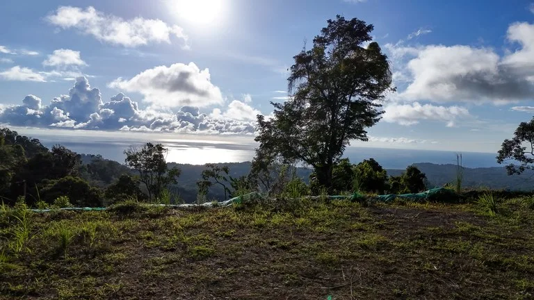 Year-Round Sunset Views | 3 Connected Build-Ready Lots, photo 8