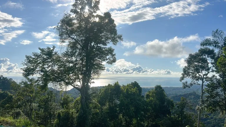Year-Round Sunset Views | 3 Connected Build-Ready Lots, photo 10