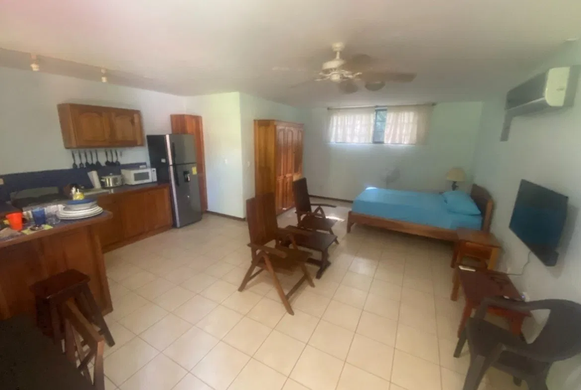 APARTMENTS IN OJOCHAL FOR SALE – 2.47 ACRES, photo 8