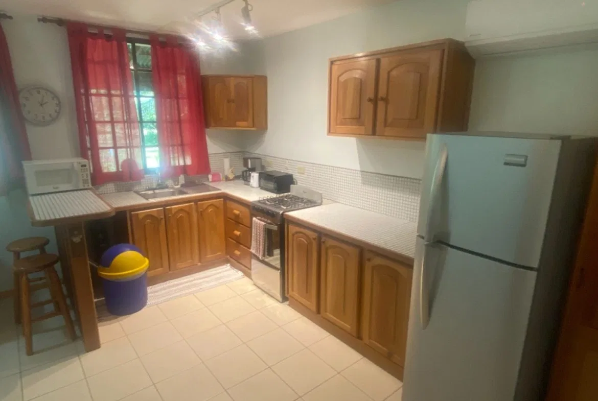 APARTMENTS IN OJOCHAL FOR SALE – 2.47 ACRES, photo 10