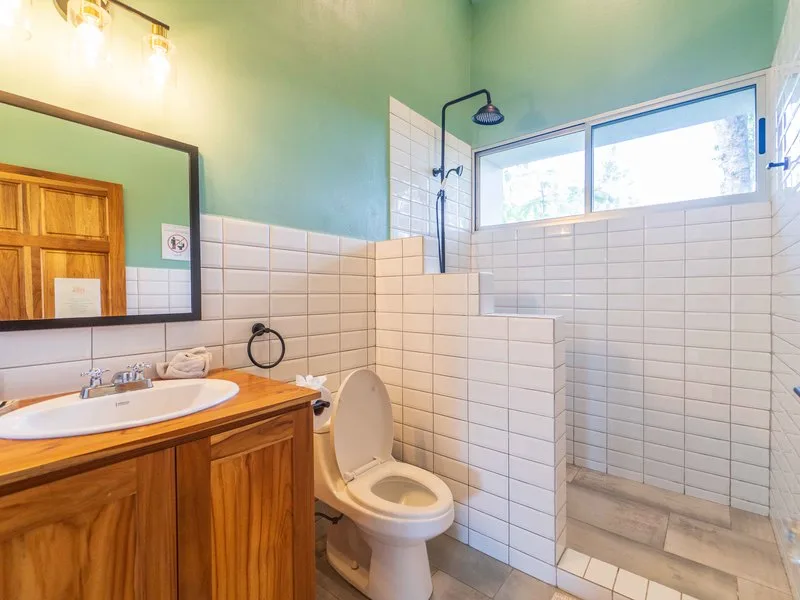 5 Bed Single Family Homes For Sale in Samara, photo 14