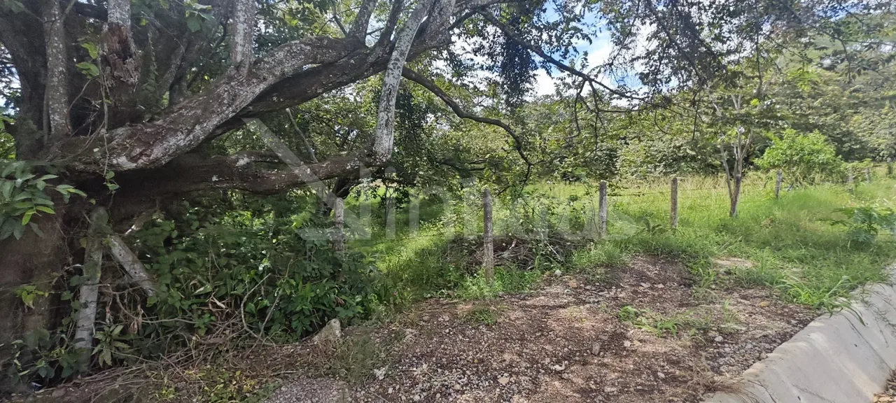 Se Vende Lote El Coyol Alajuela Uso de Suelo Mixto, photo 6