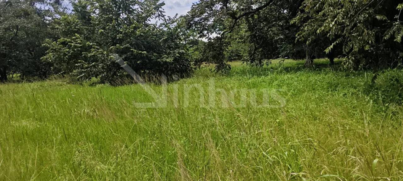 Se Vende Lote El Coyol Alajuela Uso de Suelo Mixto, photo 8