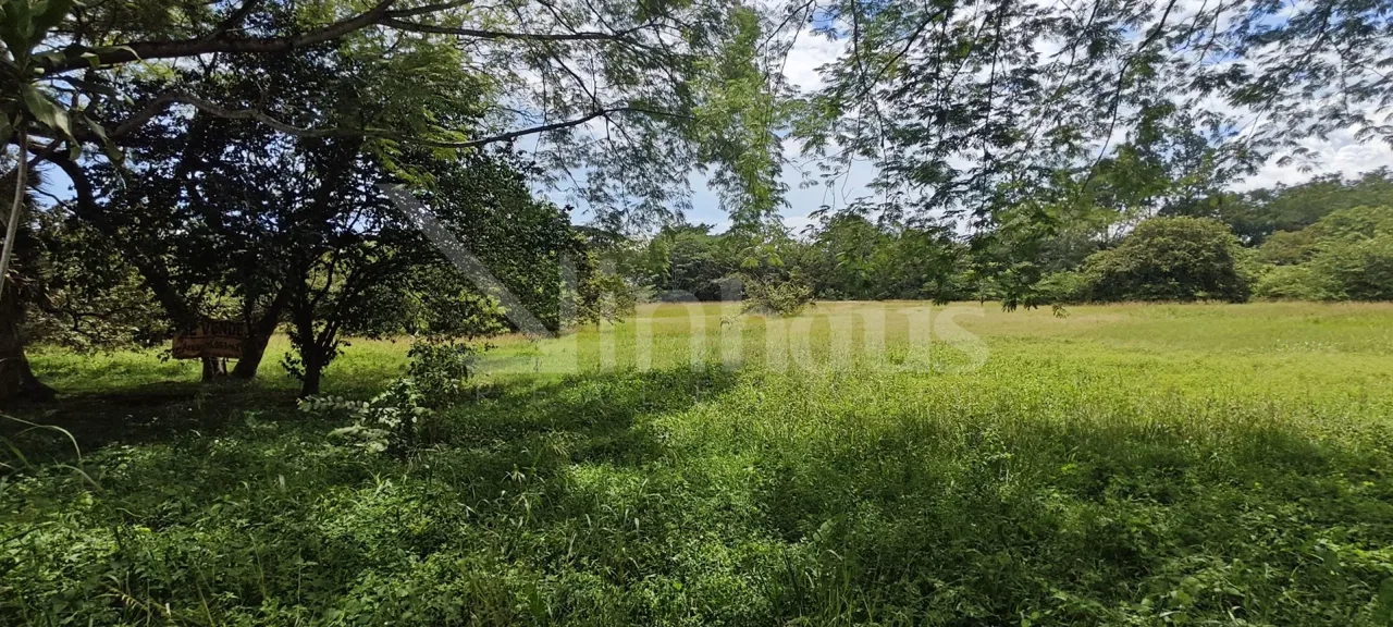 Se Vende Lote El Coyol Alajuela Uso de Suelo Mixto, photo 10