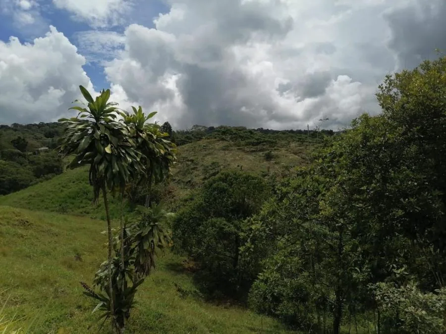 Terreno en Venta en Sabanilla, Montes de Oca RAH #222509 - Venta en Sabanilla, photo 13