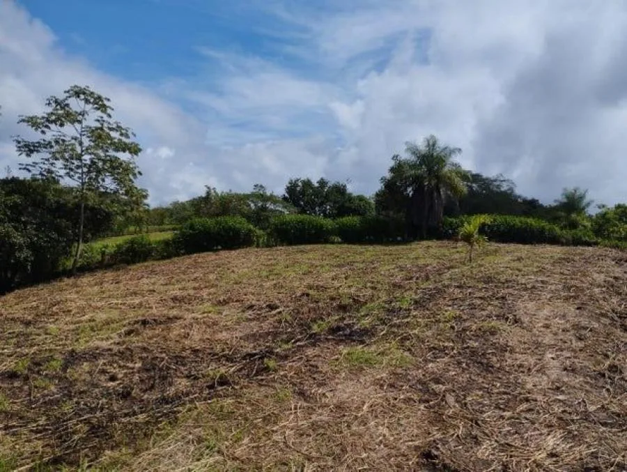Venta de Lote en San Pablo, Heredia. RAH 25-907   - Venta en San Pablo, photo 7