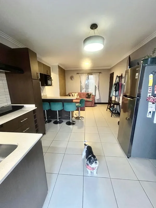 Apartamento de 2 habitaciones completamente amoblado en Torres del Sol, entre Pinares Curridabat y Tres Ríos, en una zona muy conveniente para moverse hacia diferentes puntos del este ...