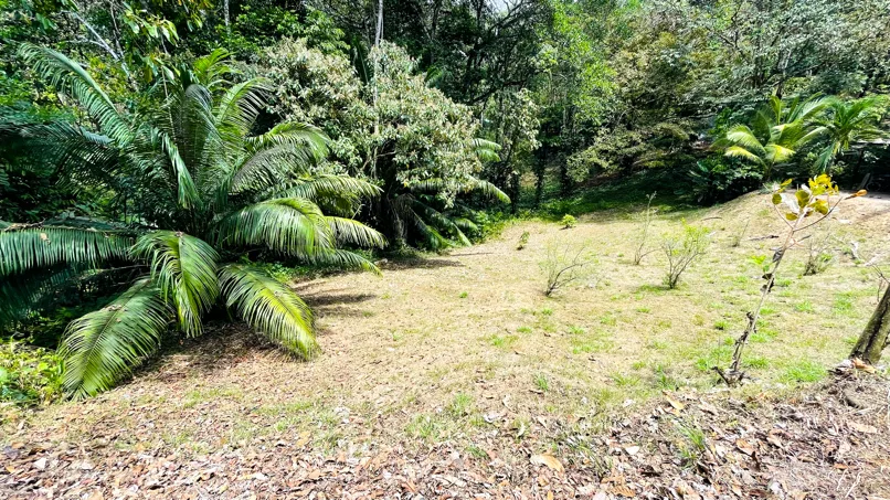 COMMERCIAL PROPERTY WITH TWENTY TWO BEDROOMS, IN BAHIA BALLENA LAS BRISAS – 7.59 ACRES, photo 13