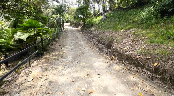 COMMERCIAL PROPERTY WITH TWENTY TWO BEDROOMS, IN BAHIA BALLENA LAS BRISAS – 7.59 ACRES, photo 4