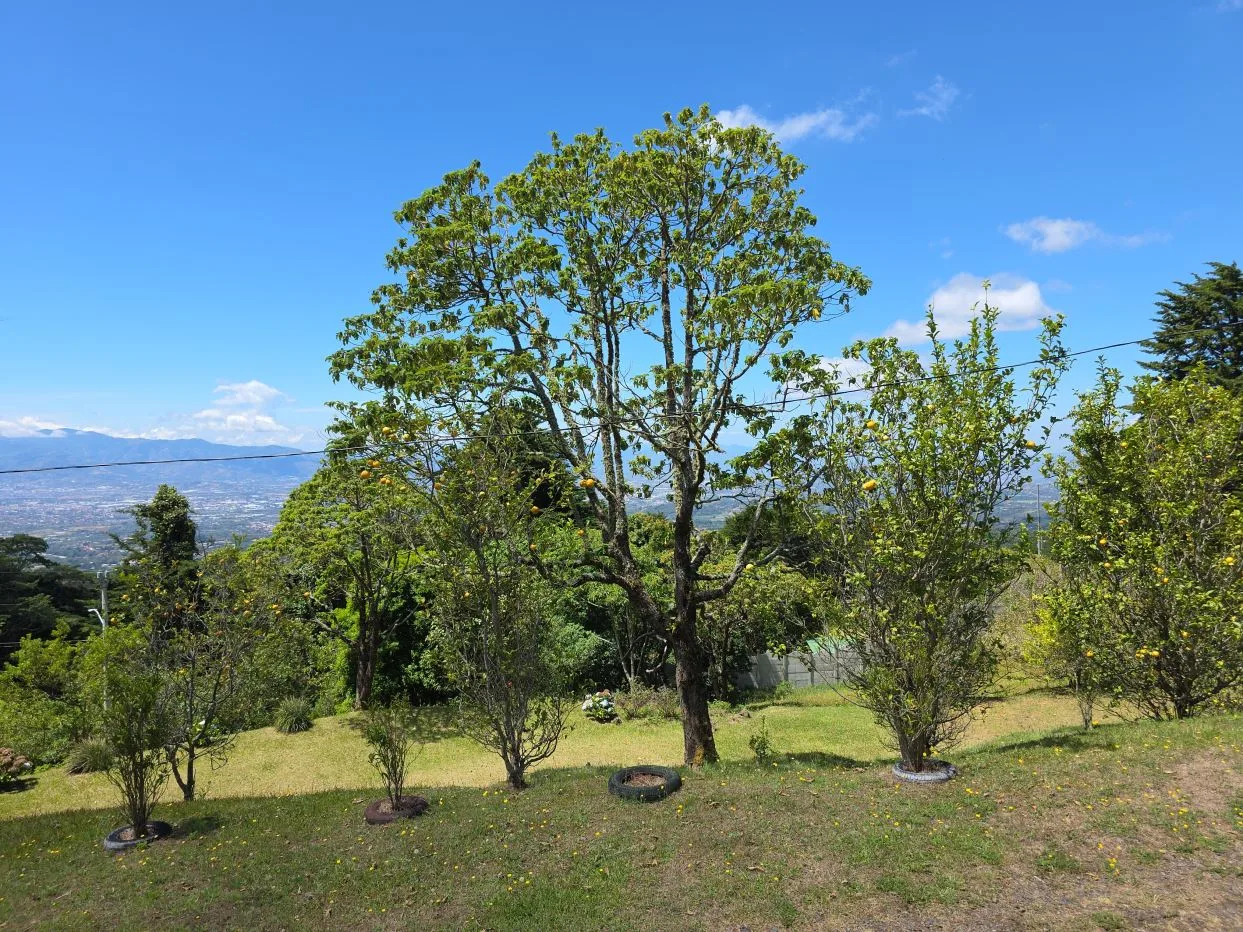 PRICE DROP 30% Lot for Sale in the Mountains of Heredia - 1.7 acres, photo 2