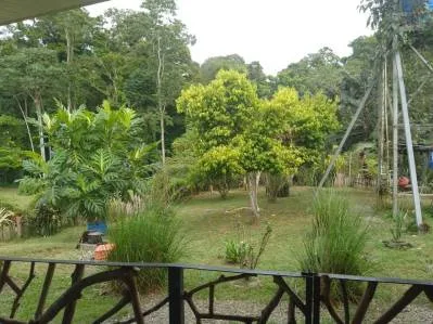 Rebajada ! El Paraiso en una Finca de Oportunidad, Casa de 400m2 y Piscina de 200m2 en Calle Paraíso, photo 4